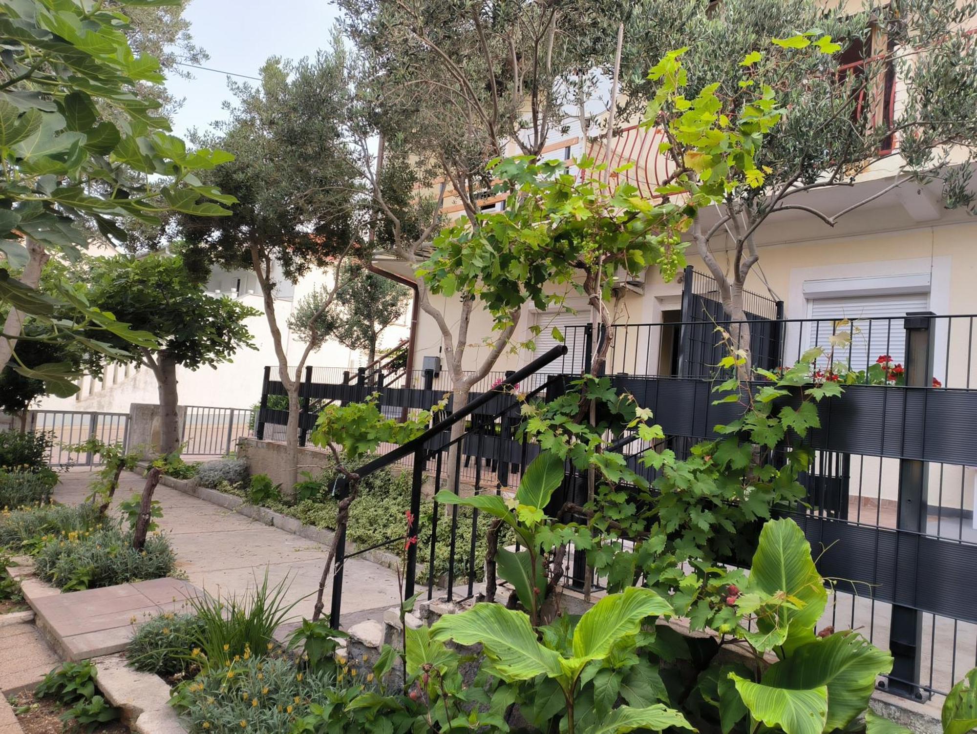 Apartments Orlic Povljana Dış mekan fotoğraf