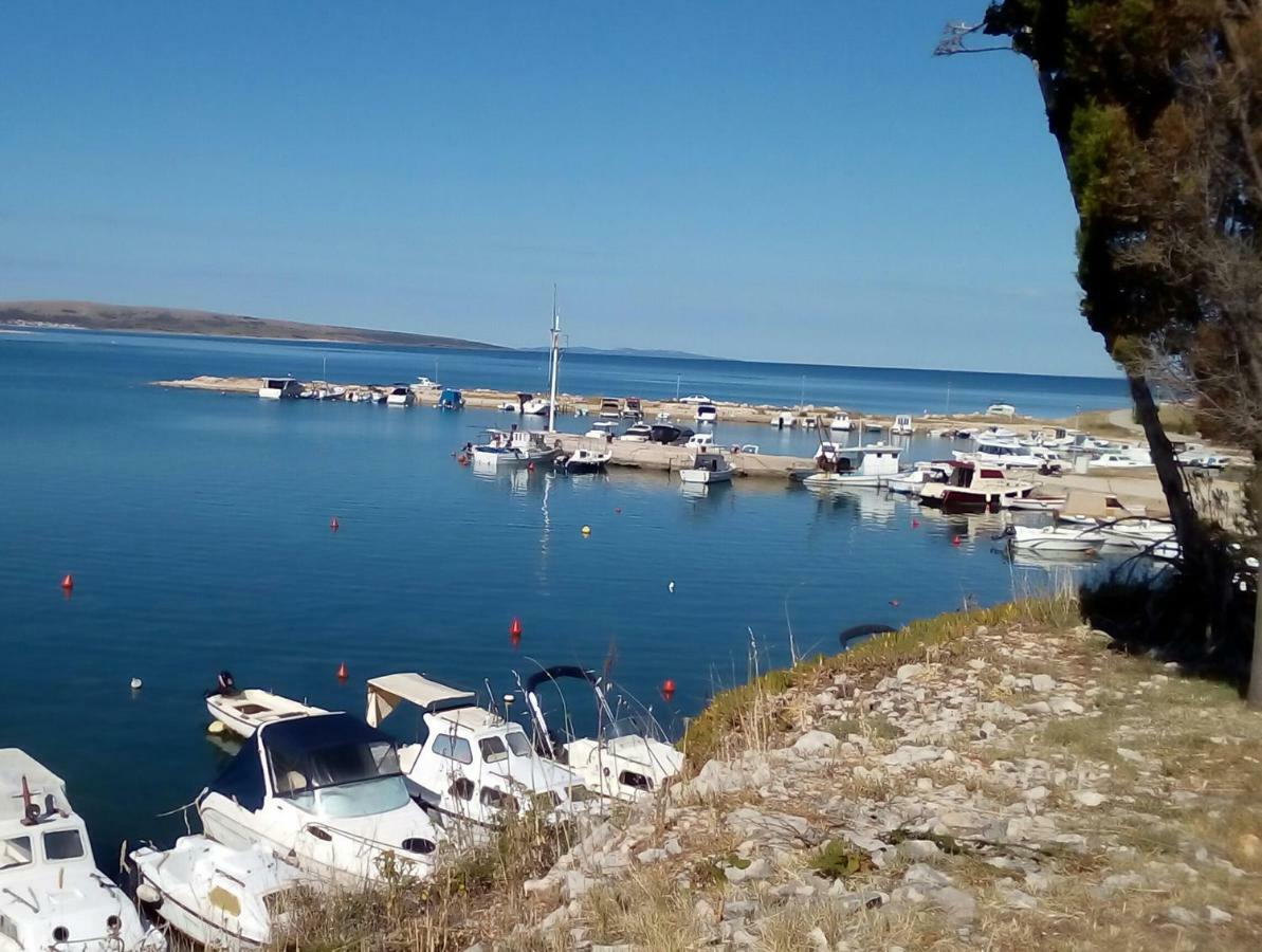 Apartments Orlic Povljana Dış mekan fotoğraf