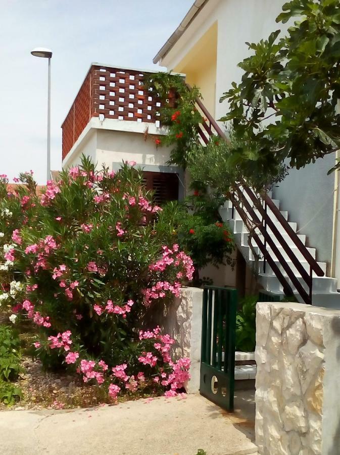 Apartments Orlic Povljana Dış mekan fotoğraf
