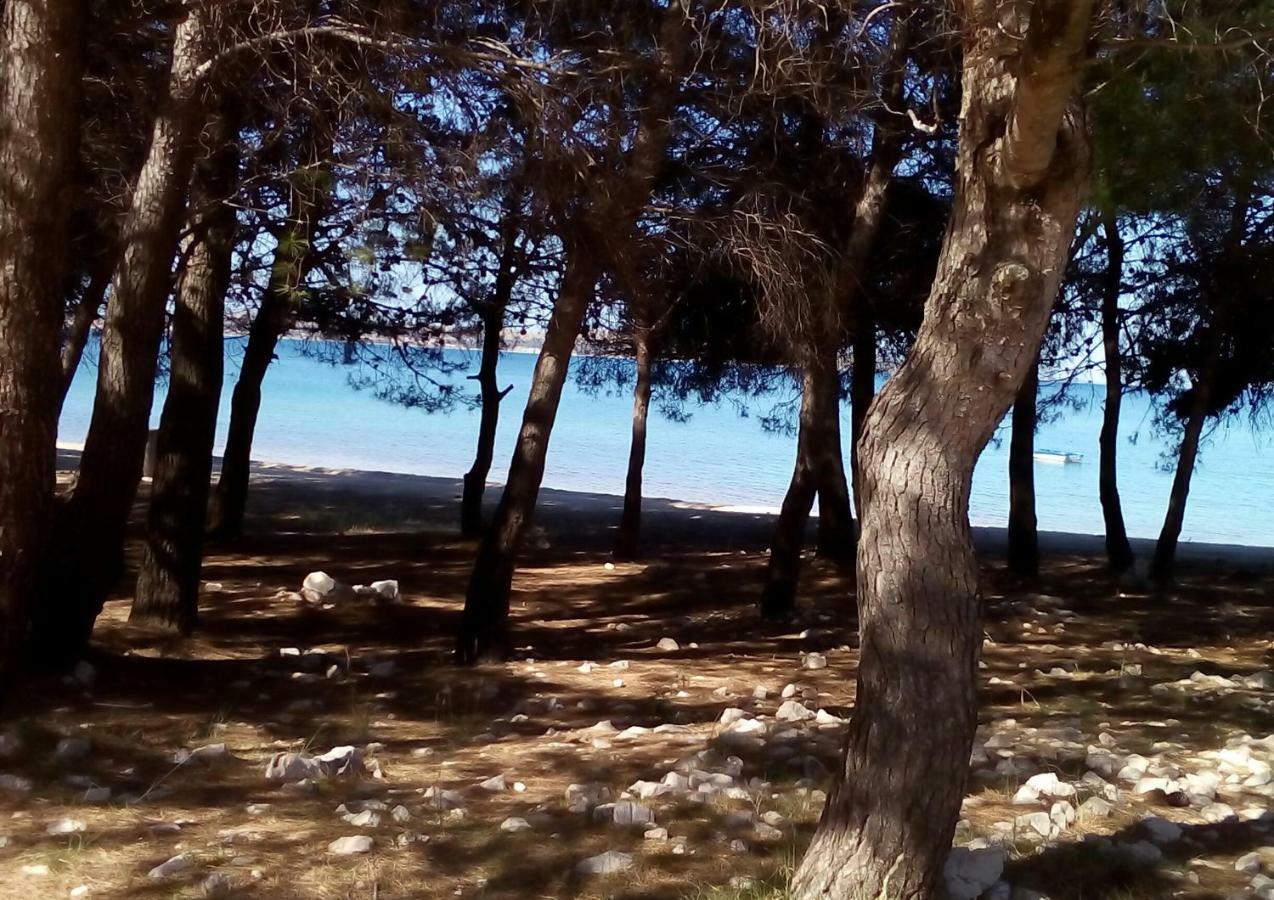 Apartments Orlic Povljana Dış mekan fotoğraf
